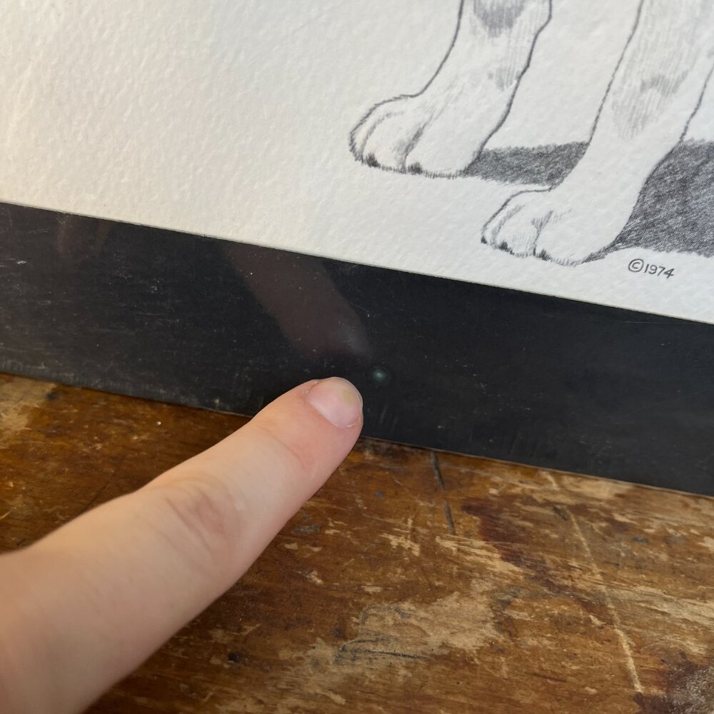 2/$50 🌸 Vintage 1974 Labrador Sketch - Picture 5 of 8